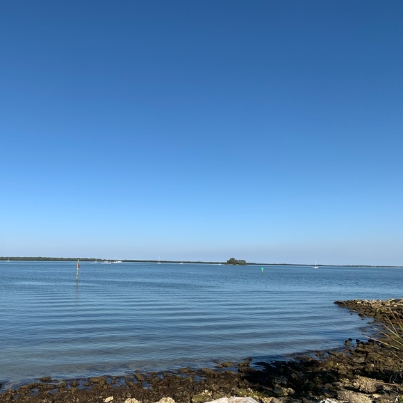 about PARROT KATIE🎀 - Picture 7 of 9